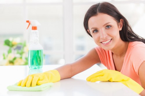 Regular cleaning service for a Knightsbridge apartment interior
