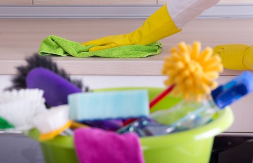 Professional cleaner maintaining a Knightsbridge kitchen and surfaces