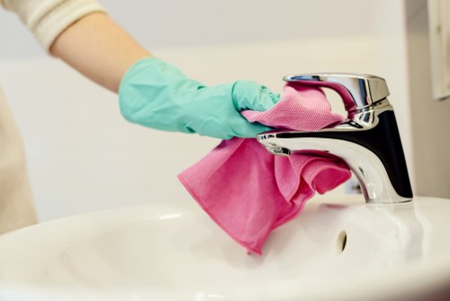 Professional pet stain and odour removal service for carpets in Knightsbridge
