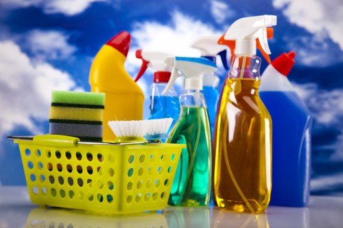 Specialist cleaning equipment used for pet stain removal in Knightsbridge