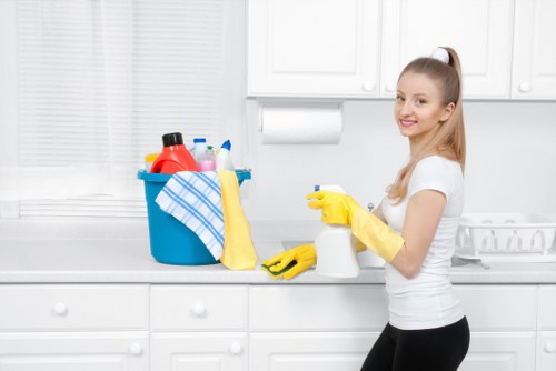 Deep carpet cleaning process for a Knightsbridge home or office