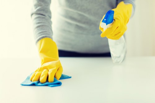 Detailed kitchen move in cleaning in a Knightsbridge apartment