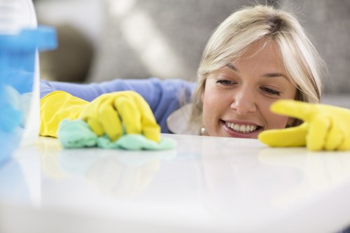 Trusted Cleaner Knightsbridge support for luxury home maintenance