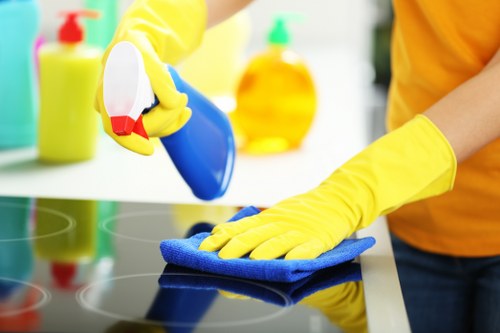 Careful cleaning of a delicate fabric item in Knightsbridge