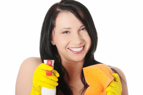 Bathroom surfaces being cleaned in a Knightsbridge move-in service